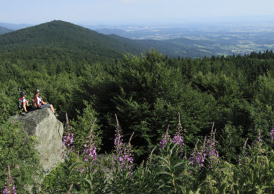 Revierguide Bayerischer Wald
