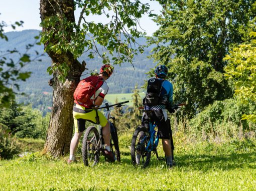 Zellertal Cross